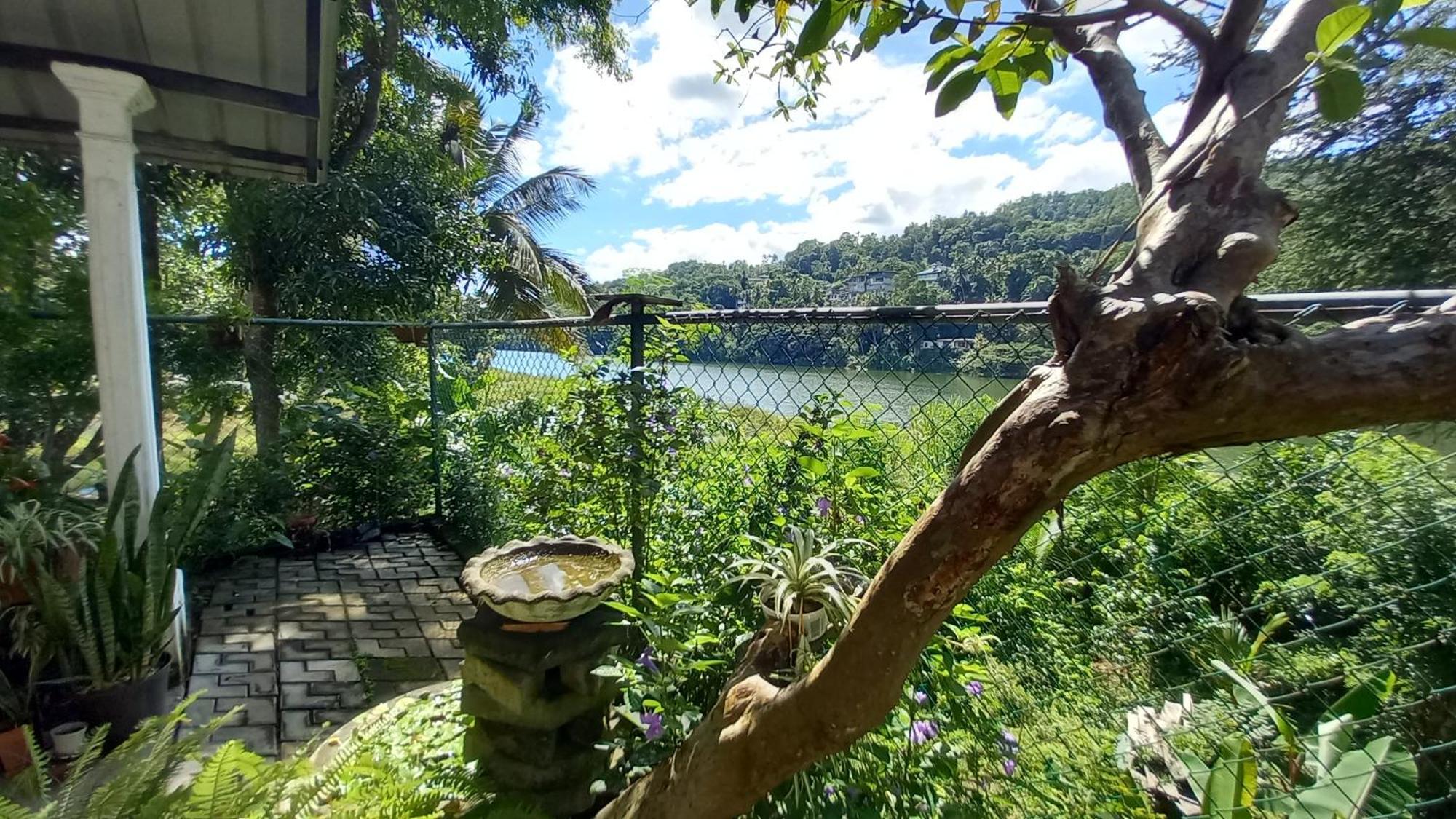 Mahaweli Shades Hotel Kandy Bagian luar foto