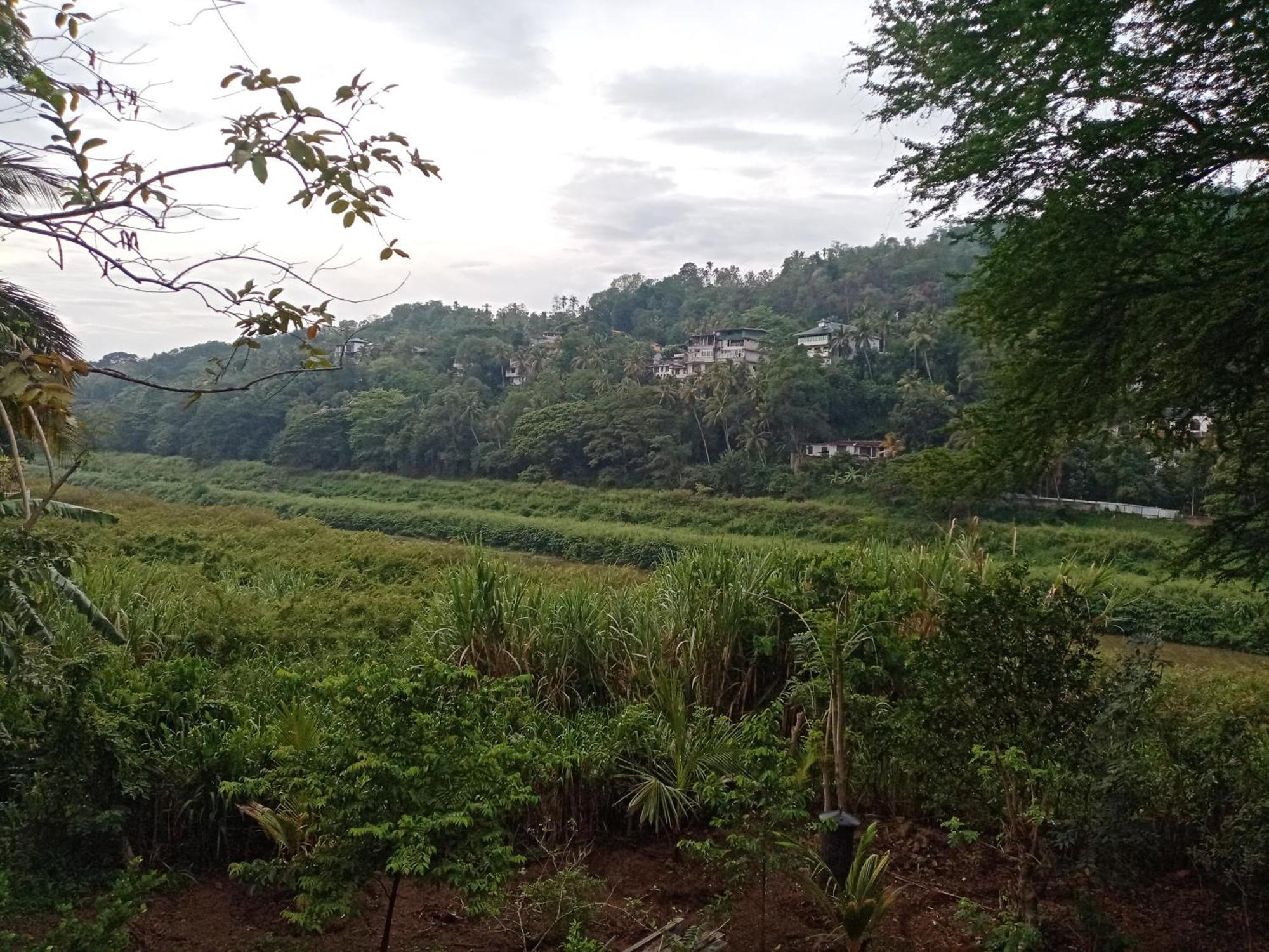 Mahaweli Shades Hotel Kandy Bagian luar foto