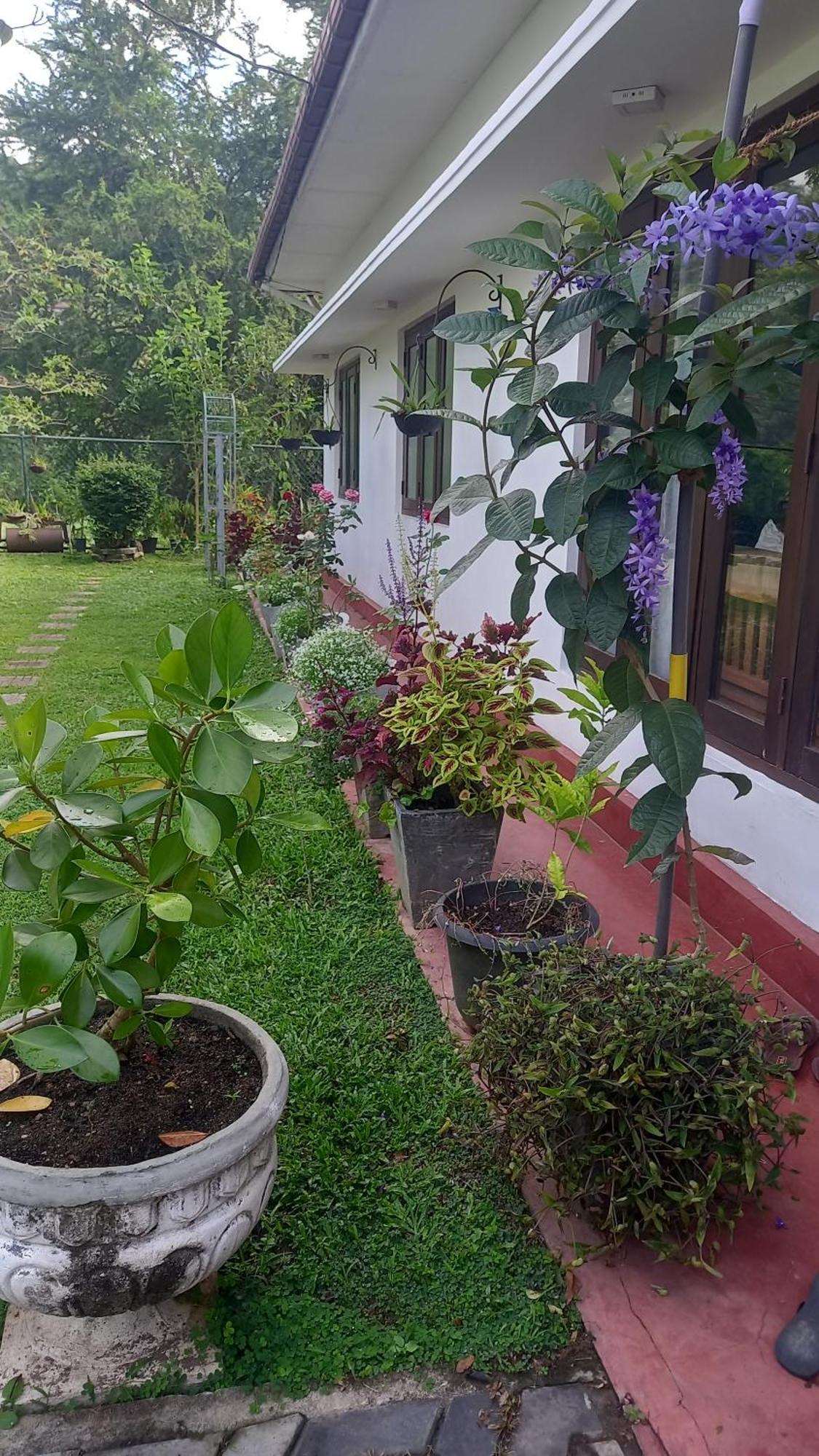 Mahaweli Shades Hotel Kandy Bagian luar foto