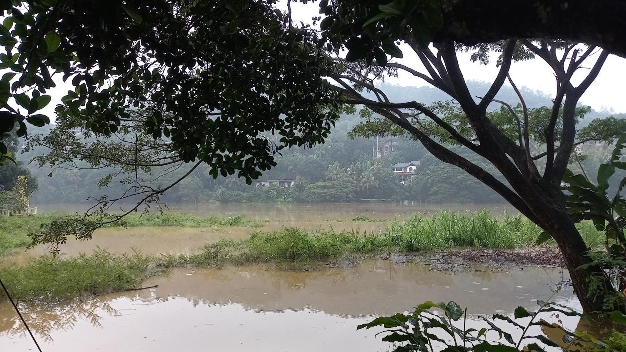 Mahaweli Shades Hotel Kandy Bagian luar foto