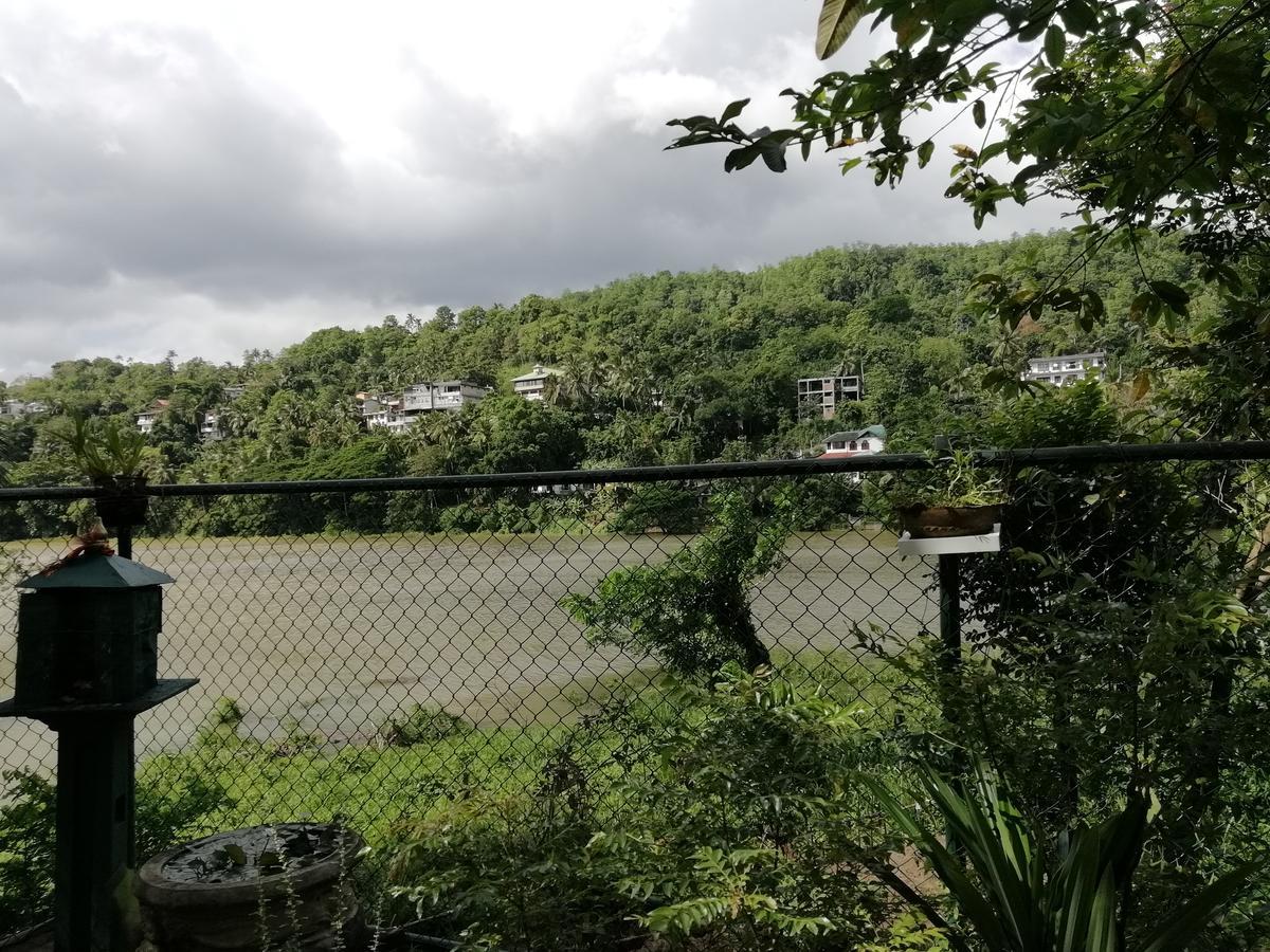 Mahaweli Shades Hotel Kandy Bagian luar foto
