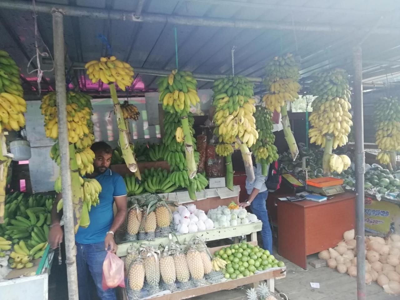 Mahaweli Shades Hotel Kandy Bagian luar foto