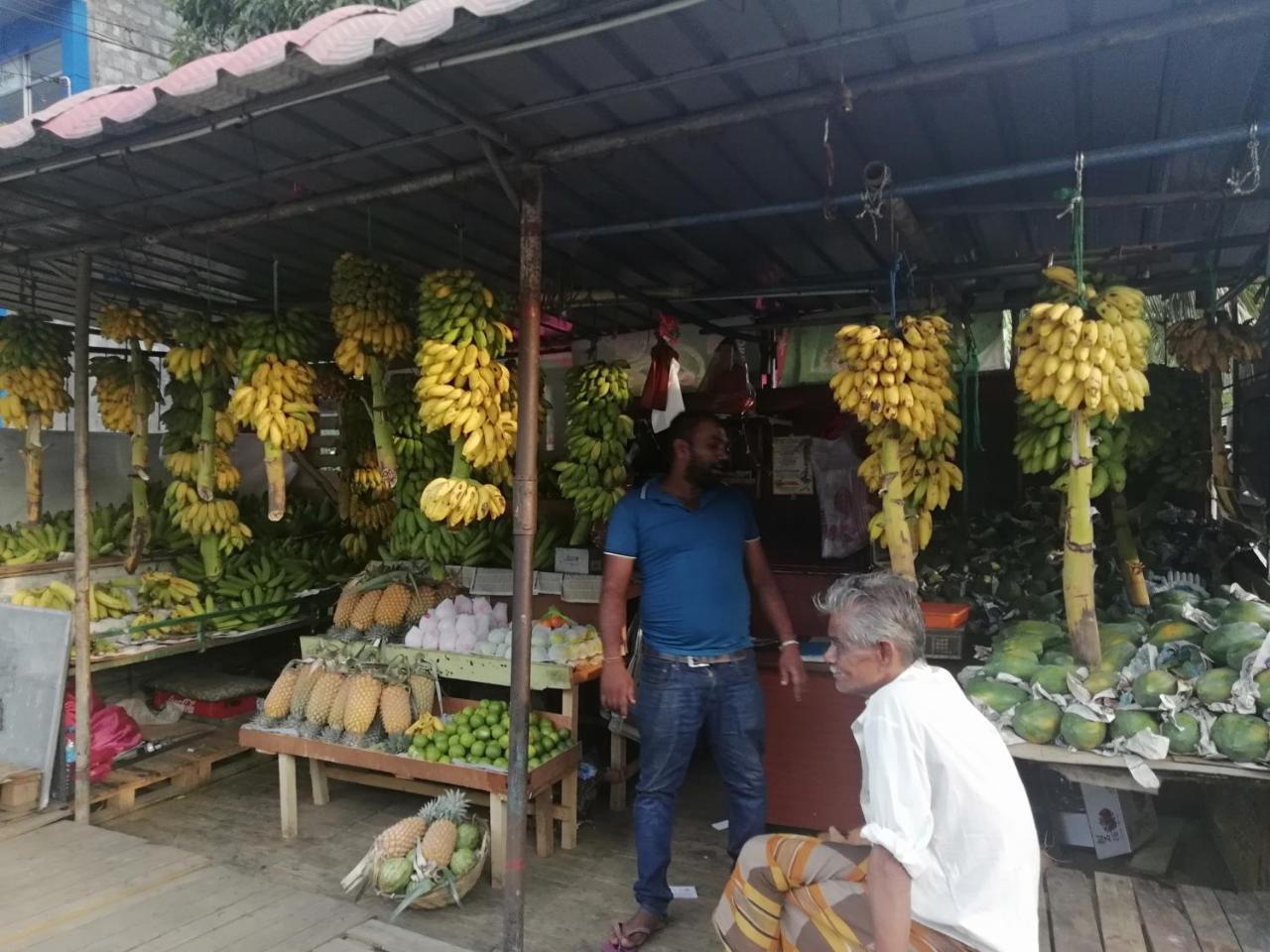 Mahaweli Shades Hotel Kandy Bagian luar foto