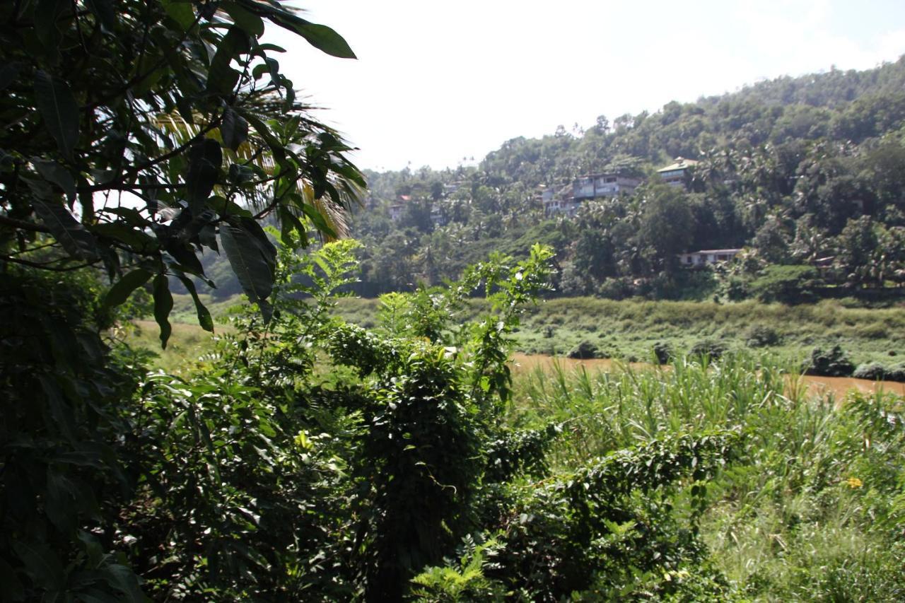 Mahaweli Shades Hotel Kandy Bagian luar foto