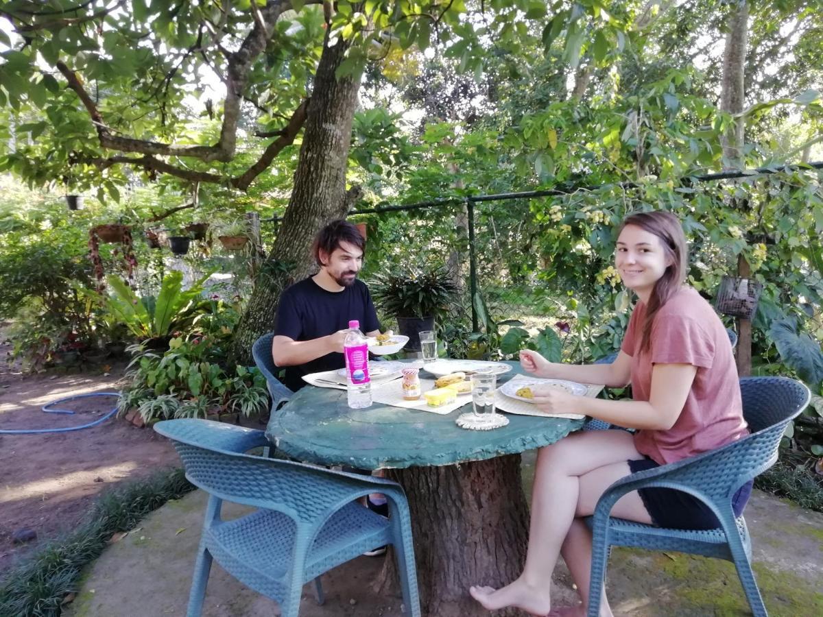 Mahaweli Shades Hotel Kandy Bagian luar foto